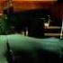 Dr Dre I Need A Doctor Ft Eminem Skylar Grey