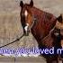 Don T Worry Marty Robbins With Lyrics 영어가사 한글번역