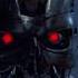 Терминатор 1984 г Сара Коннор ликвидировала T800