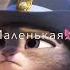 не кого не когда я не любил так как да тебя