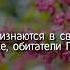 Красивое чтение 67 суры аль Мульк Чтец Исмаил Нури