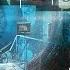 Прохождение SOMA 4 Вечность среди звезд