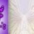 Winx Club World Of Winx Dreamix Transformation Background Fanmade