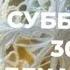 Happy New Year СНЕГОПАД не помеха танцу