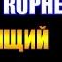 Заметки 111 Спящий Павел Корнев впечатления после прочтения книги
