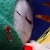 Sonic Plush A Tailsmo Christmas