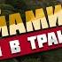 Неделю работаем и живем в Американском траке Сколько заработали