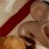 Wallace Transforms Wallace Gromit The Curse Of The Were Rabbit 2005 Family Flicks