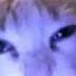 Zxcursed MUPP Haunt Speed Up Nightcore