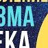 Уникальная технология восстановления и омоложения организма человека Елена Зуева