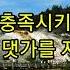 마추픽추 징기스칸 독일 듣기 한글해석 자막