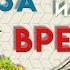 Огород это полезно Как огород вредит пожилым людям Доктор Епифанов