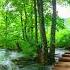 Relaxing Violin And Cello Music The Violin And Cello Who Could