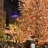 Jazz Christmas Song By Jeanie Barton Without You Tonight