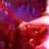 C Lebrity Queen Paul Rodgers
