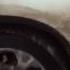 BMW X1 скрипка лиса