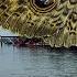 The Search For The Mysterious Mothman Tarot Investigation