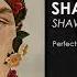 Shawn Mendes Perfectly Wrong