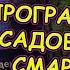 Как ГУГЛ ОБЪЕКТИВ помогает садоводам и огородникам Полезное приложение в смартфоне для дачника