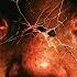 Why We Were Damaged Before We Could Guard Ourselves Franz Kafka