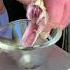Russell S Viper Venom Extraction To Make Diagnostic Test For Lupus Venomous Snake