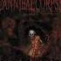 Scourge Of Iron Metal Music Heavymetal Metalhead Rock Newsongnewsong Newsongandoldsong