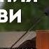 День рождения Церкви Довыденко В А Проповедь МСЦ ЕХБ