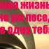 Стих Наша жизнь