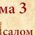 Беседы о Псалтири Кафизма третья Псалом девятнадцатый