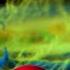 Of Monsters And Men Alligator Official Lyric Video