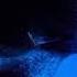 Yung Bleu Chris Brown 2 Chainz Baddest Official Audio
