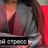 Я твой стресс Sabi 2025 New