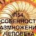 П54 ОСОБЕННОСТИ РАЗМНОЖЕНИЯ ЧЕЛОВЕКА БИОЛОГИЯ 8 КЛАСС СЛУШАТЬ АУДИО ОНЛАЙН АУДИОУЧЕБНИК