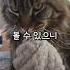 이게 바로 업계포상