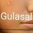 Gulasal YOR YOR Eshiting Va Baho Bering