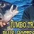 January 30 2020 New Jersey Delaware Bay Fishing Report With Jim Hutchinson Jr