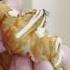 Today I Want To Eat A Croissant
