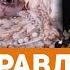 ФОТО ПОДДЕЛКА или НЕТ 1 РЕАКЦИЯ на DaiFiveTop