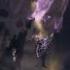 Mandragora 5 Quick Tips In 1 Minute Mandragora Mandragorawhispersofthewitchtree