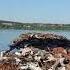 Буксир Коломенский 803 буксировка баржи по реке Ока