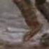 Predator Concrete Jungle Intro