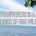 Forgiveness Is A Choice Of Our Will Shorts Reels Forgiveness Memes Grace