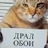 САМЫЙ ОПАСНЫЙ СТЕПАНЫЧ В МИРЕ