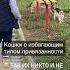 Отношения с избегающими см описание