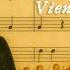 The Best Of Strauss II Waltzes Polkas Operettas Viennese Waltz The Blue Danube