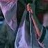 Arkona Goj Kupala Noch Velesova Live In Moscow 2007