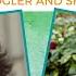 Energy Magazine Exclusive Interview With Shannon Kaiser