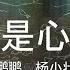口是心非 鹏鹏 杨小壮 高音质 歌词 Lyrics