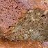 YORKSHIRE PARKIN RECIPE Viewer Request