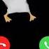 The Dancing Goose Is Calling You Танцующий гусь звонит тебе Call Phone Dance звонок телефон